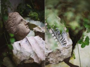 Ботанический сад просит вернуть гипсовую голову, которую украли из оранжереи