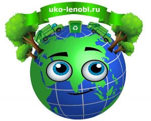Логотип МР. Фото: uko-lenobl.ru