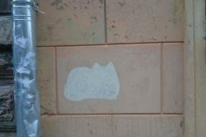 В Шувалово продолжают появляться неоднозначные граффити