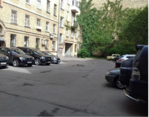 Согласованный с администрацией 40-летний плющ на Измайловском уничтожили коммунальщики 