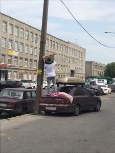 Петербуржец собирает рой пчел со столба в Калининском районе