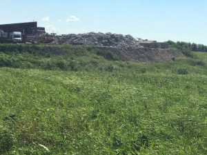 Экологи обнаружили разливы нефтепродуктов в поселке им. Свердлова