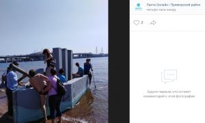 Петербуржцы делятся фотографиями с “потешного” заплыва