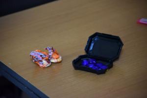 В Мурино задержали жителя, перевозившего наркотики в "Сладком созвучии"