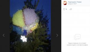 Жителей Шугозера возмутила новогодняя ель