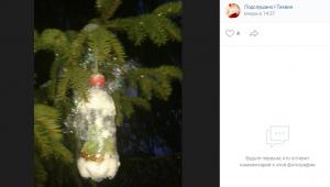 Жителей Шугозера возмутила новогодняя ель