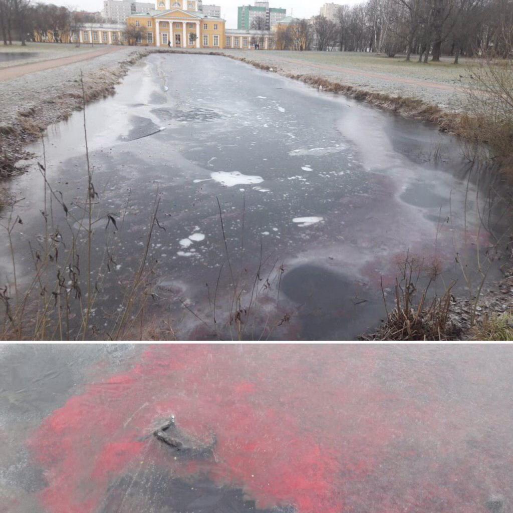 Пруды в парке Александрино неожиданно «покраснели» | 13.12.2019 |  Санкт-Петербург - БезФормата