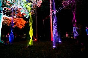 Поступить в магистратуру "Световой дизайн" ИТМО можно из дома и без экзаменов