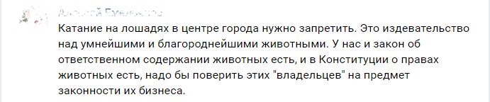 Лошадиная доля: прокатный бизнес процветает, а животные страдают, но волнует это лишь активистов