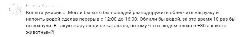 Лошадиная доля: прокатный бизнес процветает, а животные страдают, но волнует это лишь активистов