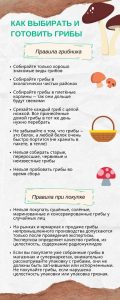 В Роспотребнадзоре рассказали как правильно выбирать и готовить грибы
