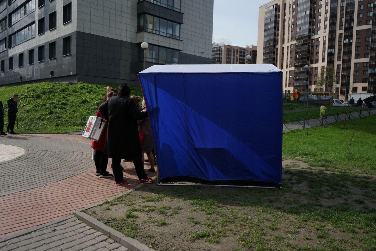 В Ленобласти проходит досрочное голосование на губернаторских выборах: фоторепортаж