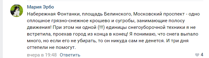 «Оттепель не поможет»: петербуржцы требуют убрать снежные горы