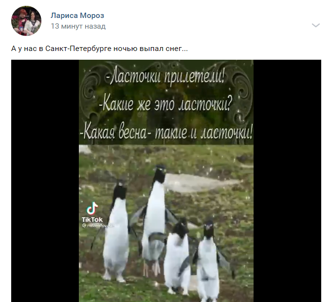 Шел шестой день апреля: петербуржцы делятся фото последнего снега