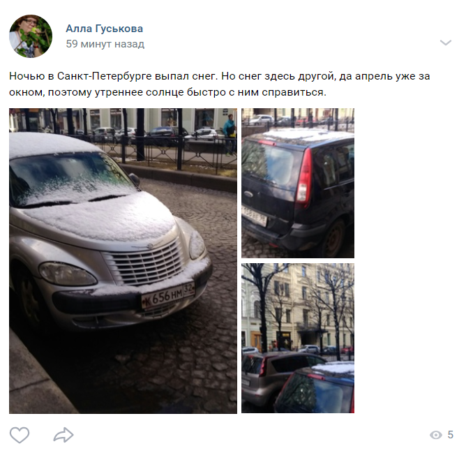 Шел шестой день апреля: петербуржцы делятся фото последнего снега