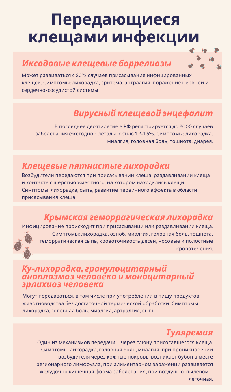 С петербуржцев снимают пока только клещей-гастролеров, но скоро проснутся и местные: чем опасны кровопийцы