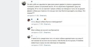 Собачница избила петербуржца и пробила голову его шпицу