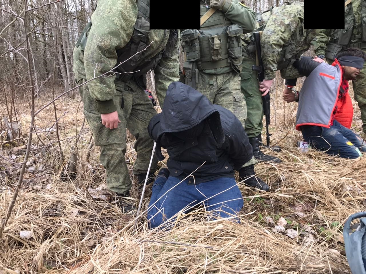 Троих граждан Индии и один Шри-Ланки пустились в бега через госграницу в Ленобласти
