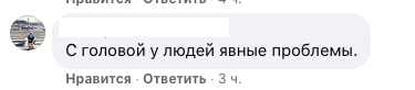 "Просто кототриллер!": петербуржцы взяли на передержку 38 котов, но их хозяева исчезли