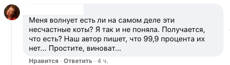 "Просто кототриллер!": петербуржцы взяли на передержку 38 котов, но их хозяева исчезли