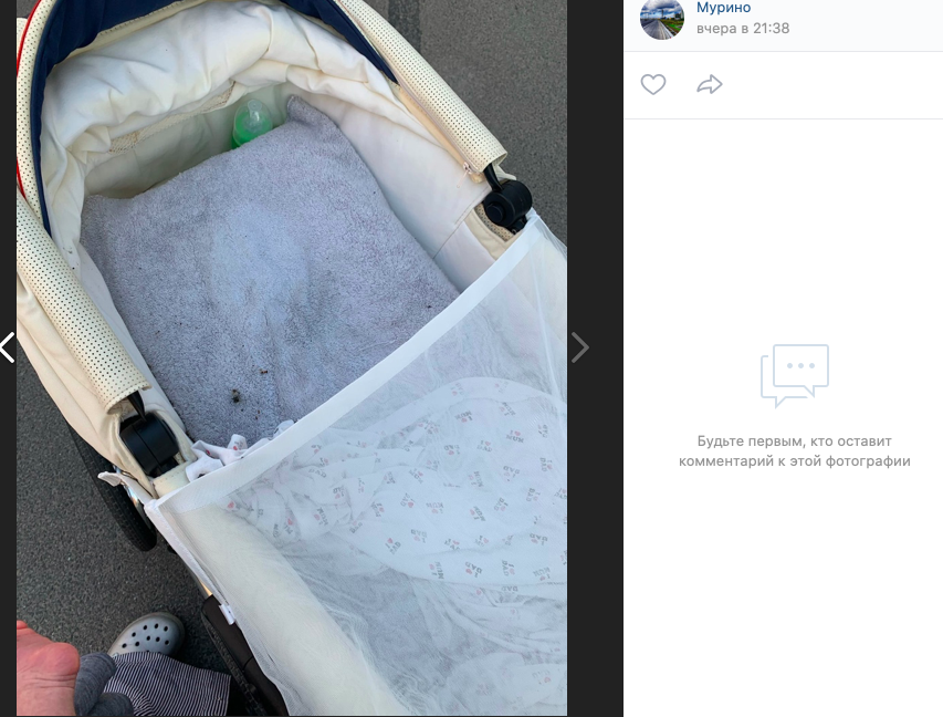 Горящий окурок в коляске в Мурино, одинокий малыш на дороге в Кудрово: как дети оказываются в опасности из-за взрослых