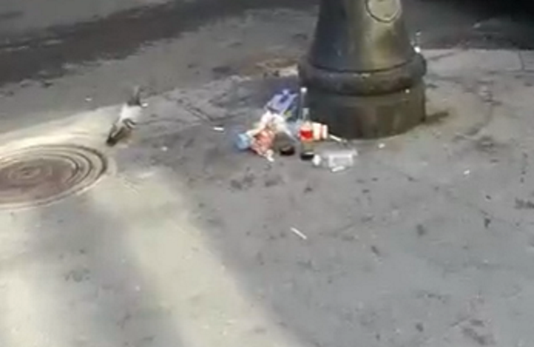 Вечеринки, пьяные выходки и футбол с полицией: как фанаты отрывались на Евро-2020 в Петербурге