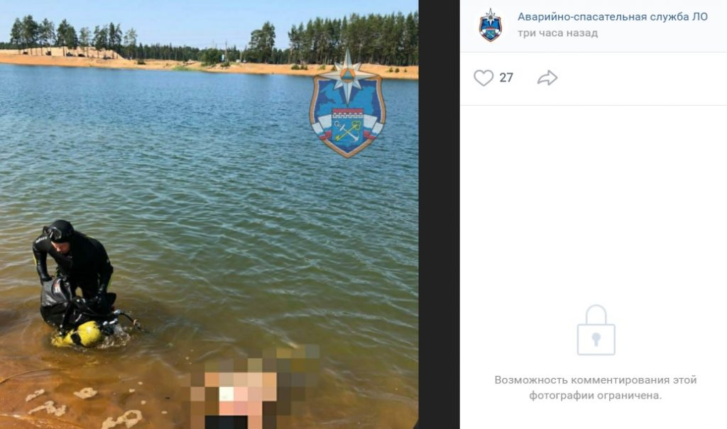 Очевидцы: в Пулковском парке утонул ребенок
