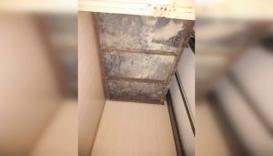 СК показал кадры с места гибели блокадницы в пансионате Ленобласти