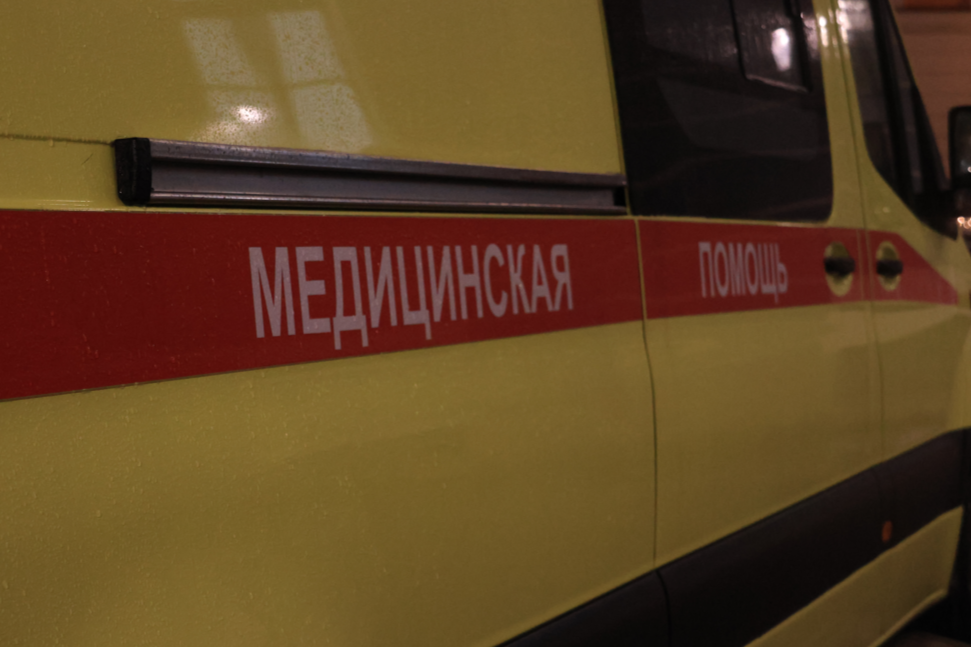 Полугодовалый ребенок попал в больницу в Петербурге после отравления ядовитым цветком