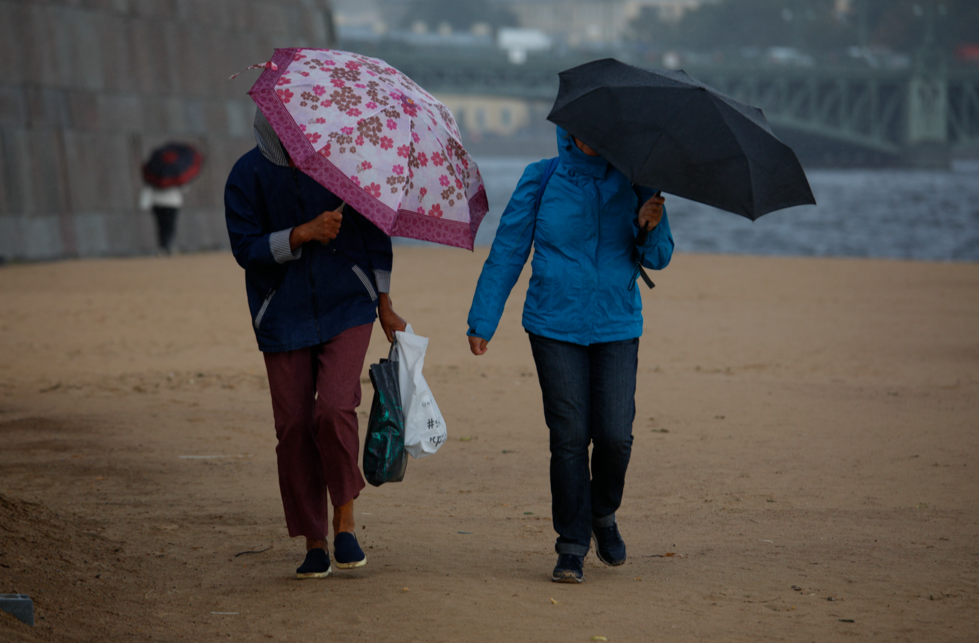 В МЧС предупредили о сильных дождях в Петербурге