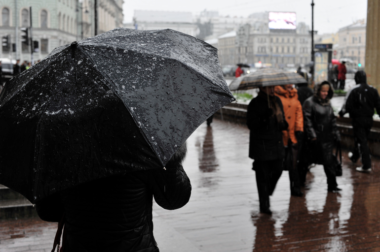Дожди и мокрый снег ждут петербуржцев 7 октября