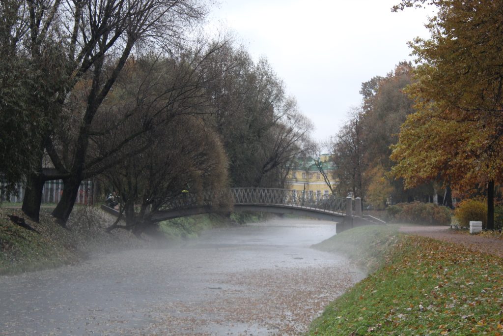 Посетители Таврического сада наблюдали таинственную осеннюю картину благодаря туману