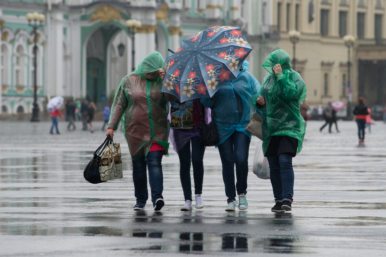 Ночью в Петербург пришла теплая погода с дождями