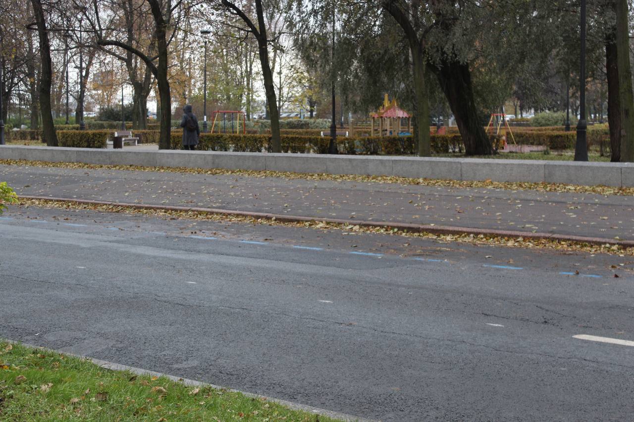 Платная парковка на Васильевском острове даст жителям свободные дворы и тишину под окнами