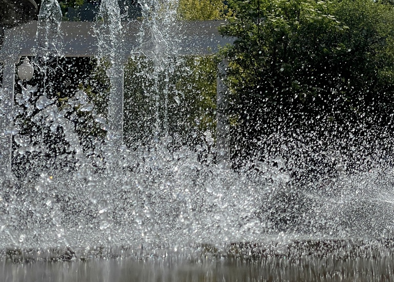 Средства с курортного сбора в Петербурге потратят на создание фонтана в Линейном парке