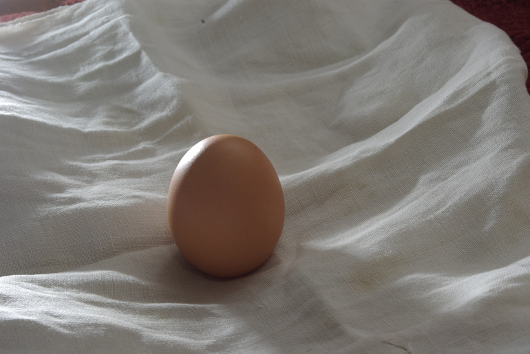 АКОРТ: цены на яйца у производителей из России стабилизируются