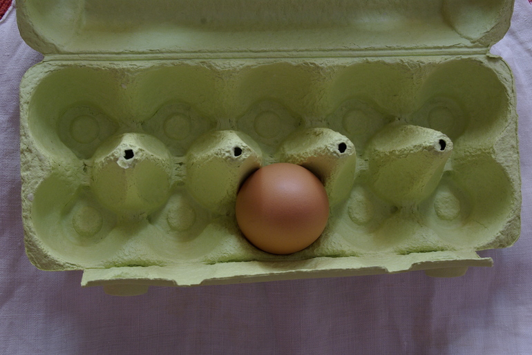 Вторая партия куриных яиц прибыла в Россию из Турции