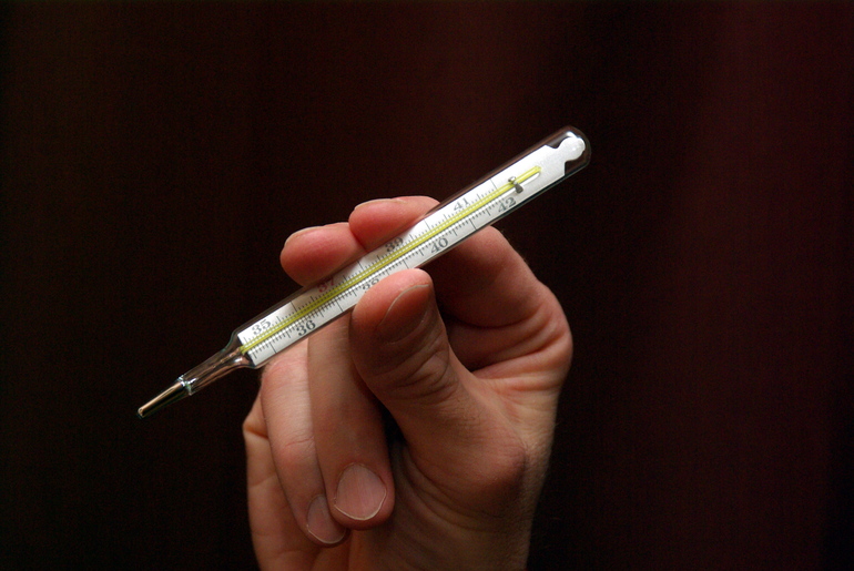 41778_Baltphoto_Елена_Яковлева