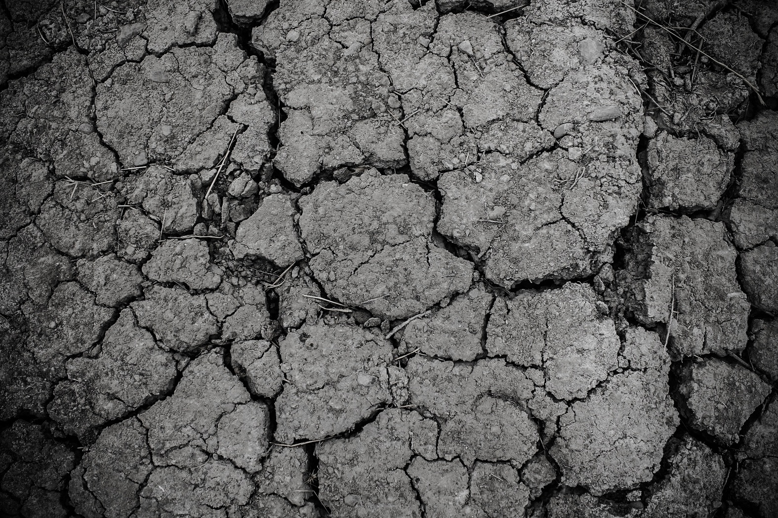 branch-black-and-white-ground-texture-arid-desert-1365845-pxhere.com