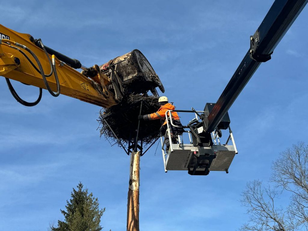 photo_2024-03-04_12-39-07-1024x768