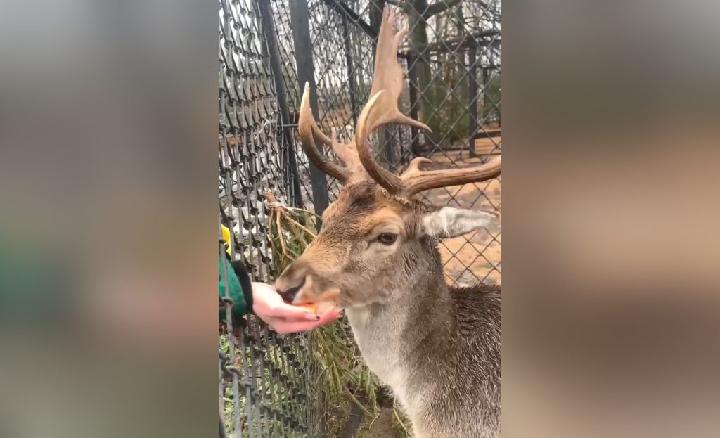 В Ленинградском зоопарке появился новый обитатель