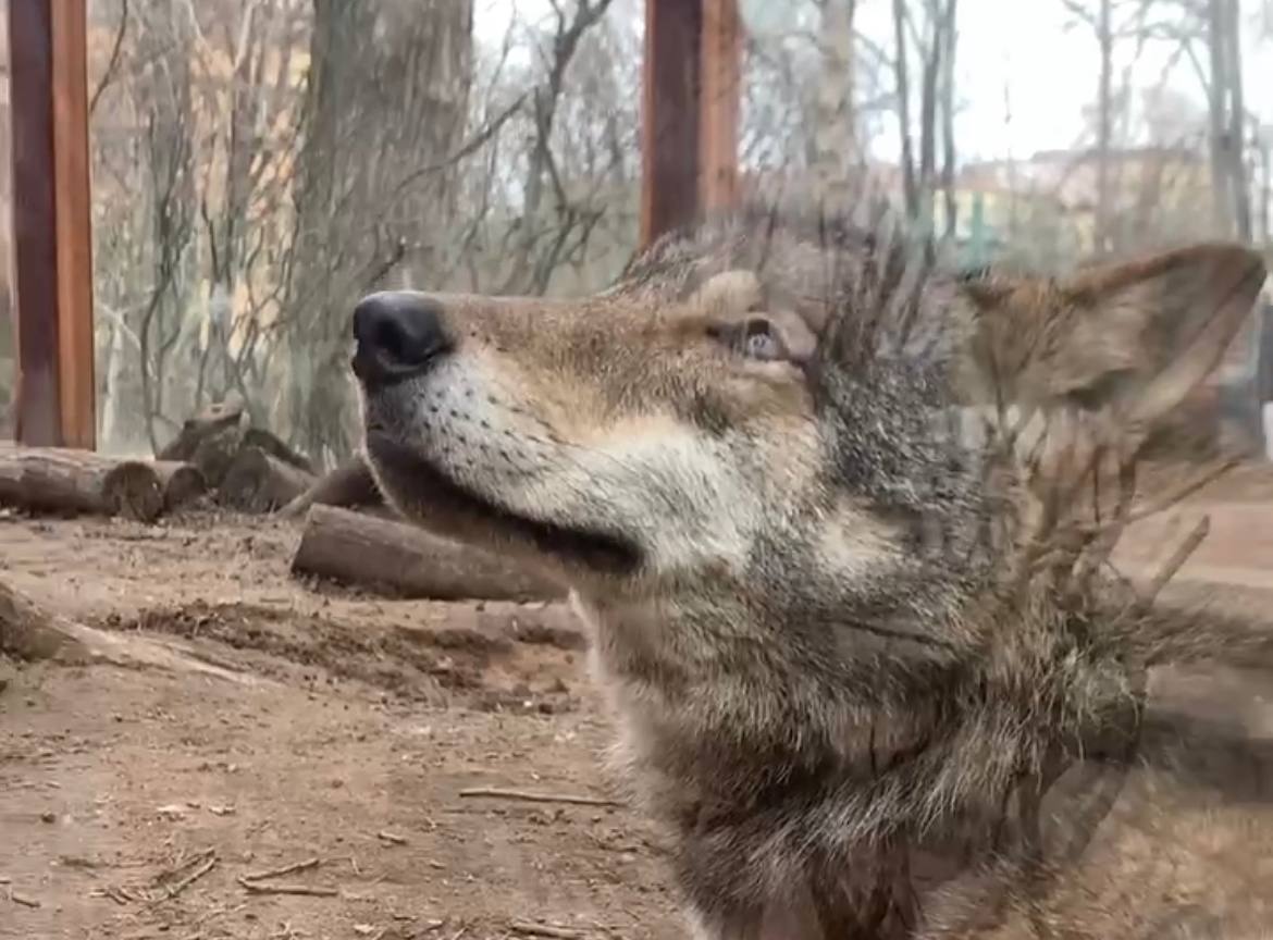 photo1712068605