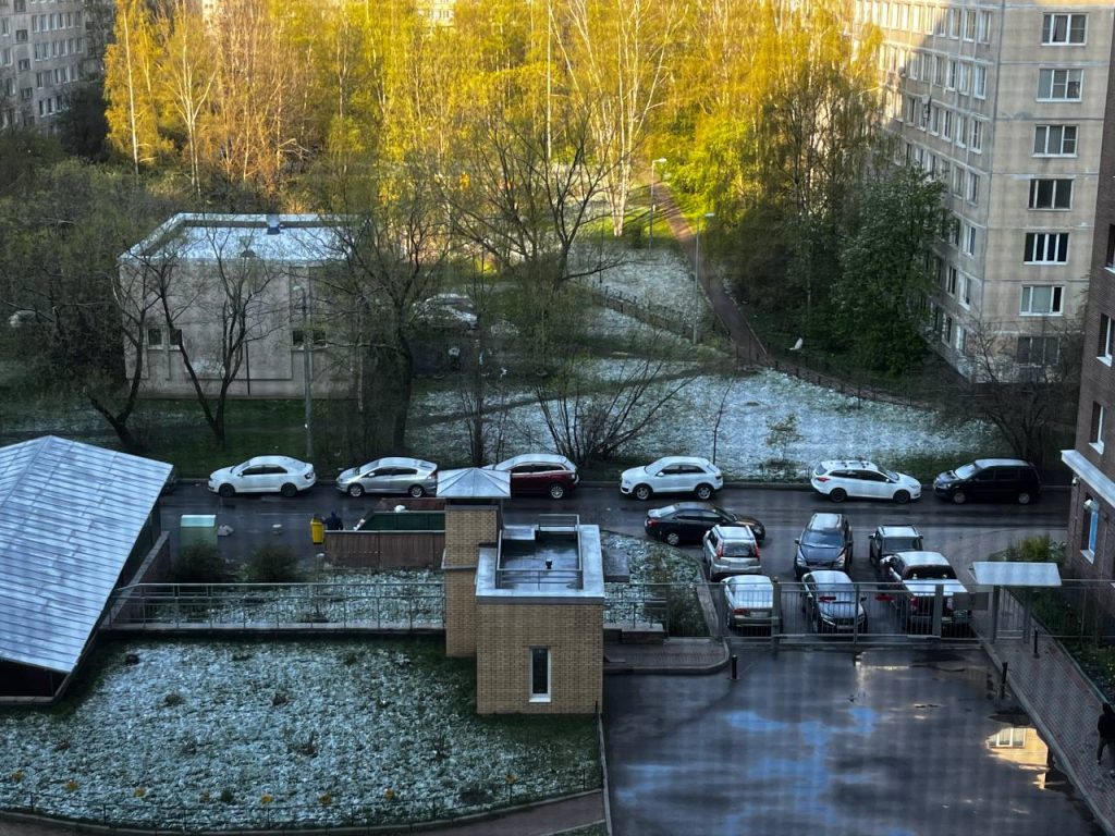 Майский снег продержался в Петербурге до утра