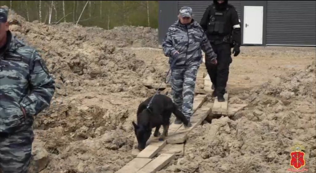 Полиция проверила 700 мигрантов на стройках Ленобласти
