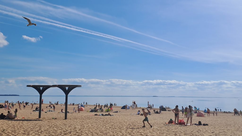 Петербуржцам рассказали, на каких пляжах не стоит купаться