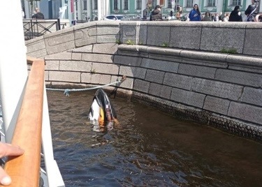 Волна на Неве перевернула гидроцикл с пьяными пассажирами