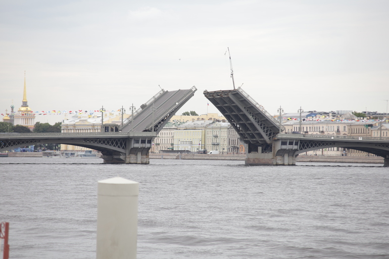 Дворцовый мост в Петербурге развели под особую музыку в честь Дня ВМФ