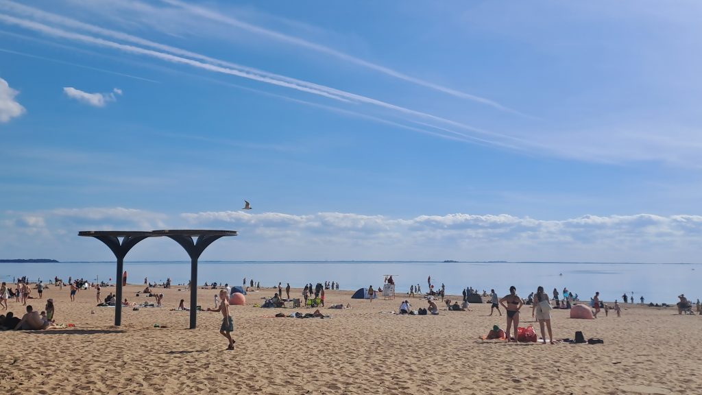 В Петербурге не осталось пляжей с безопасной водой