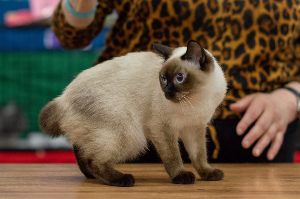 Где в Петербурге можно отдохнуть на выходных 6-7 июля