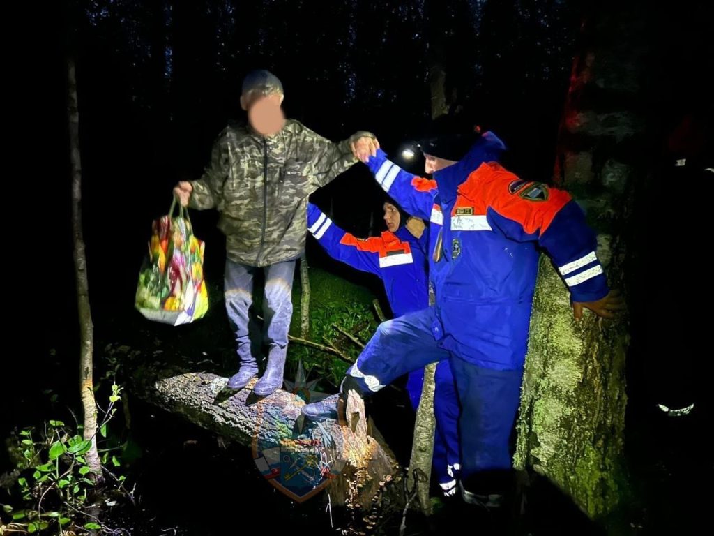 Спасатели вывели из леса в Никольское потерянного мужчину
